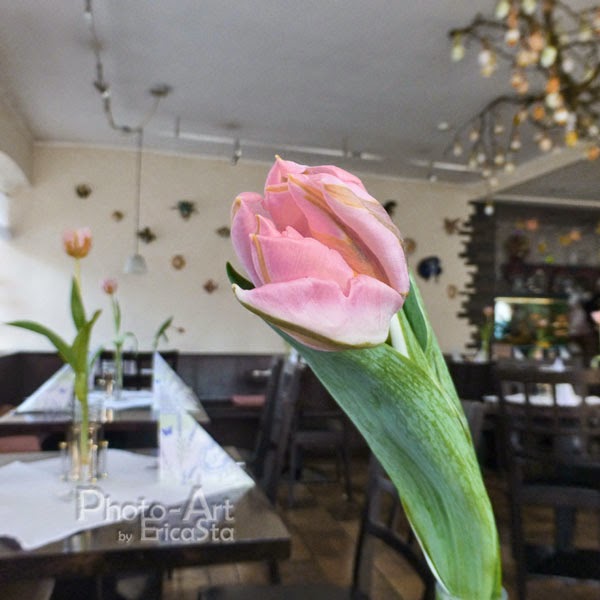 Soul And Mind And So On