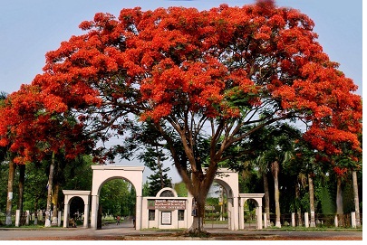 Admission Test Results Islamic University Bangladesh Admissin Test Result 2013 2014