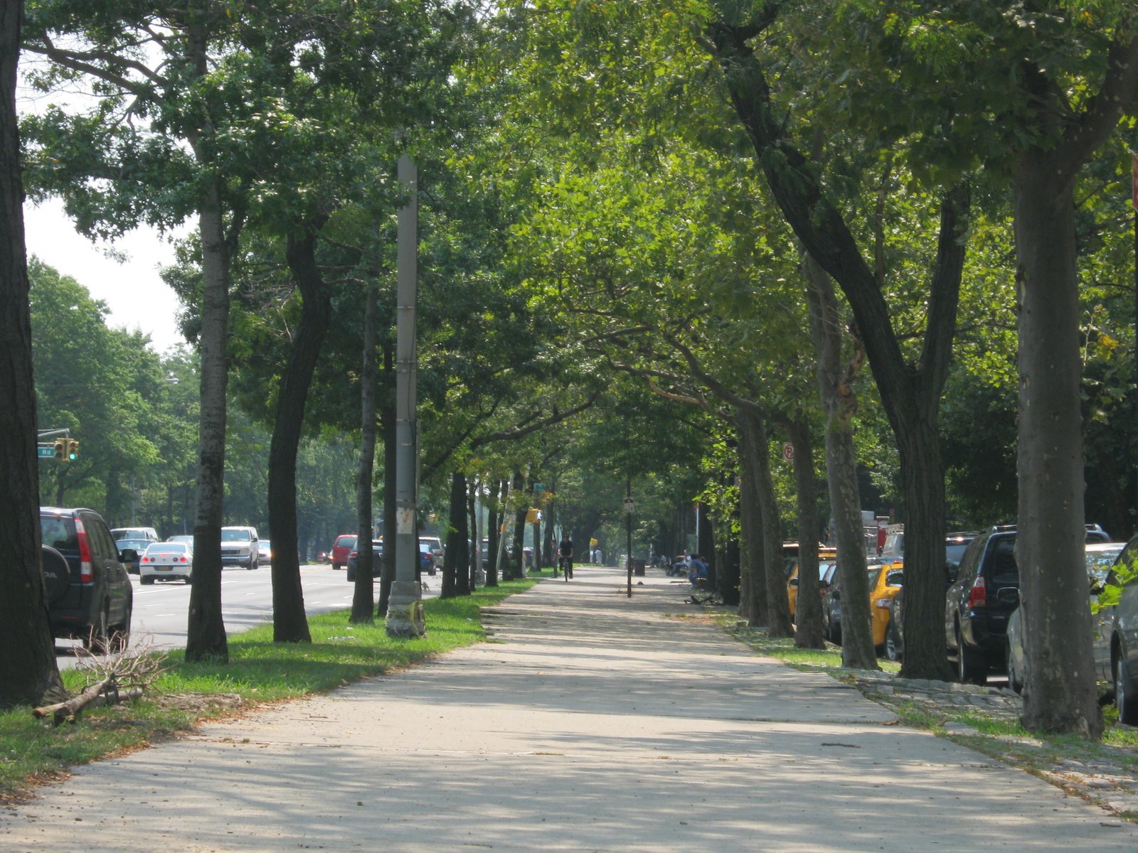 Brooklyn Views Images of Ocean Parkway North