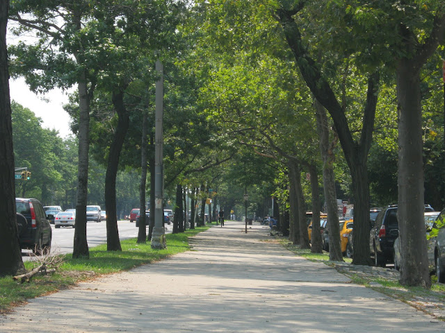 Brooklyn Views Images of Ocean Parkway North