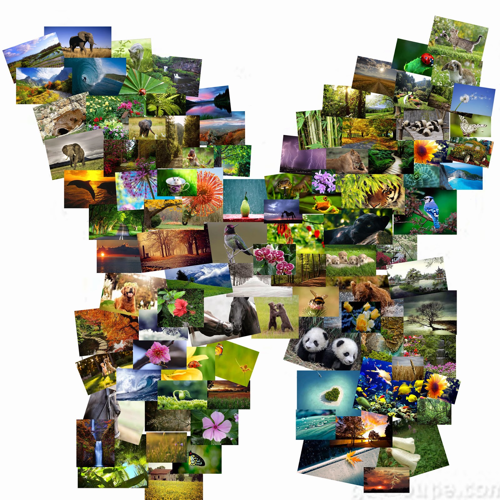 100 image collage maker 100 image collage maker