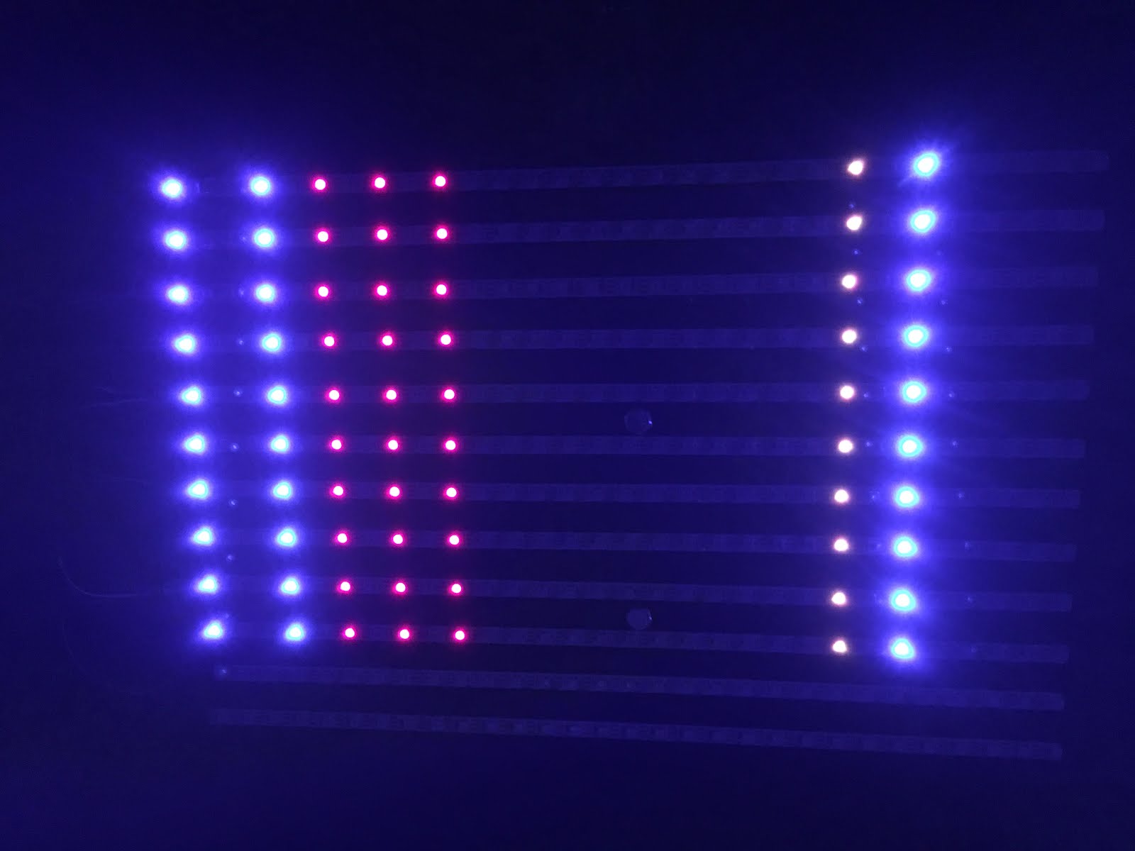 Contraindications for photic stimulation picture