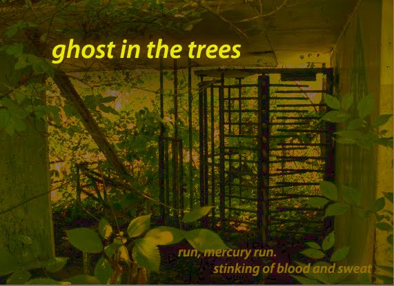 Ghost in the Trees