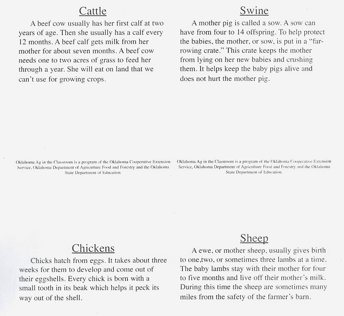 BBE 1st Grade Science Lab!