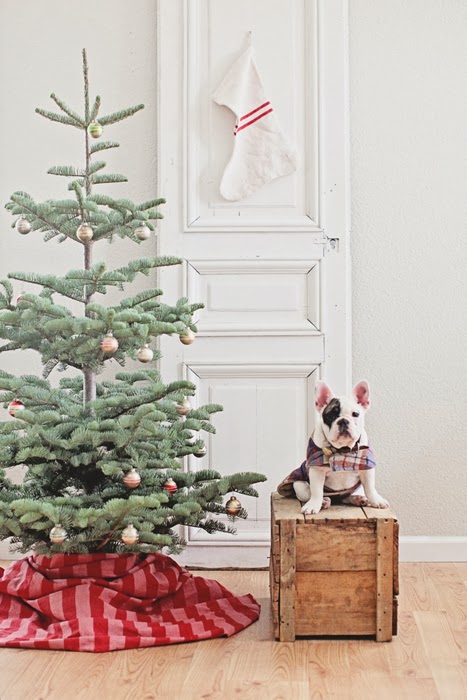 dreamy whites 500 00 french farmhouse christmas gift card giveaway silver tip christmas tree