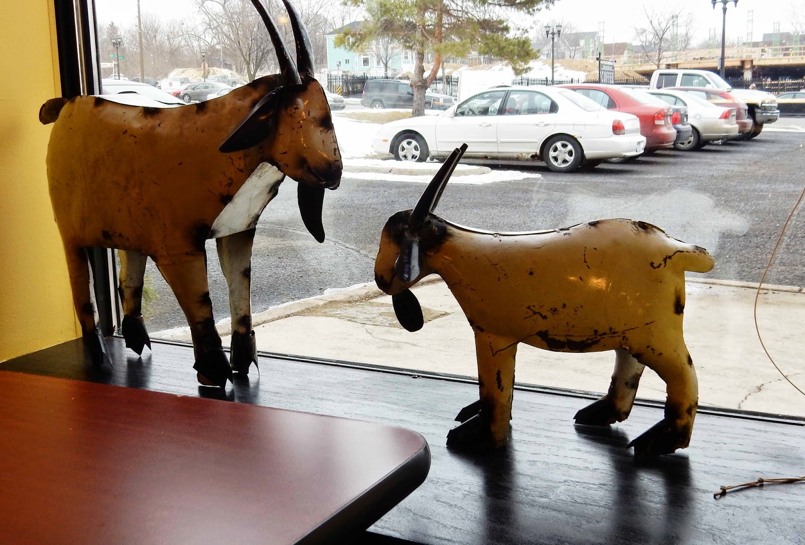 Adventures Here and There Adventures with the Dancing Goats