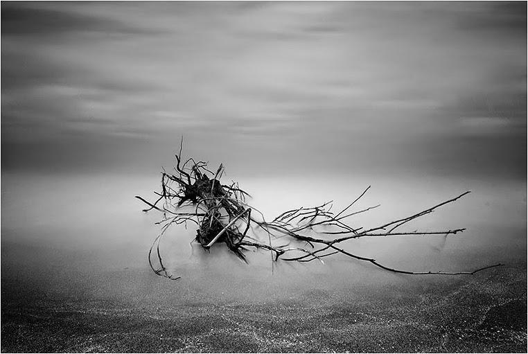 amateur photographers, Best Photo of the Day in Emphoka by Ozlem Acaroglu, https://flic.kr/p/q3ouct amateur photographers, Best Photo of the Day in Emphoka by Ozlem Acaroglu, https://flic.kr/p/q3ouct