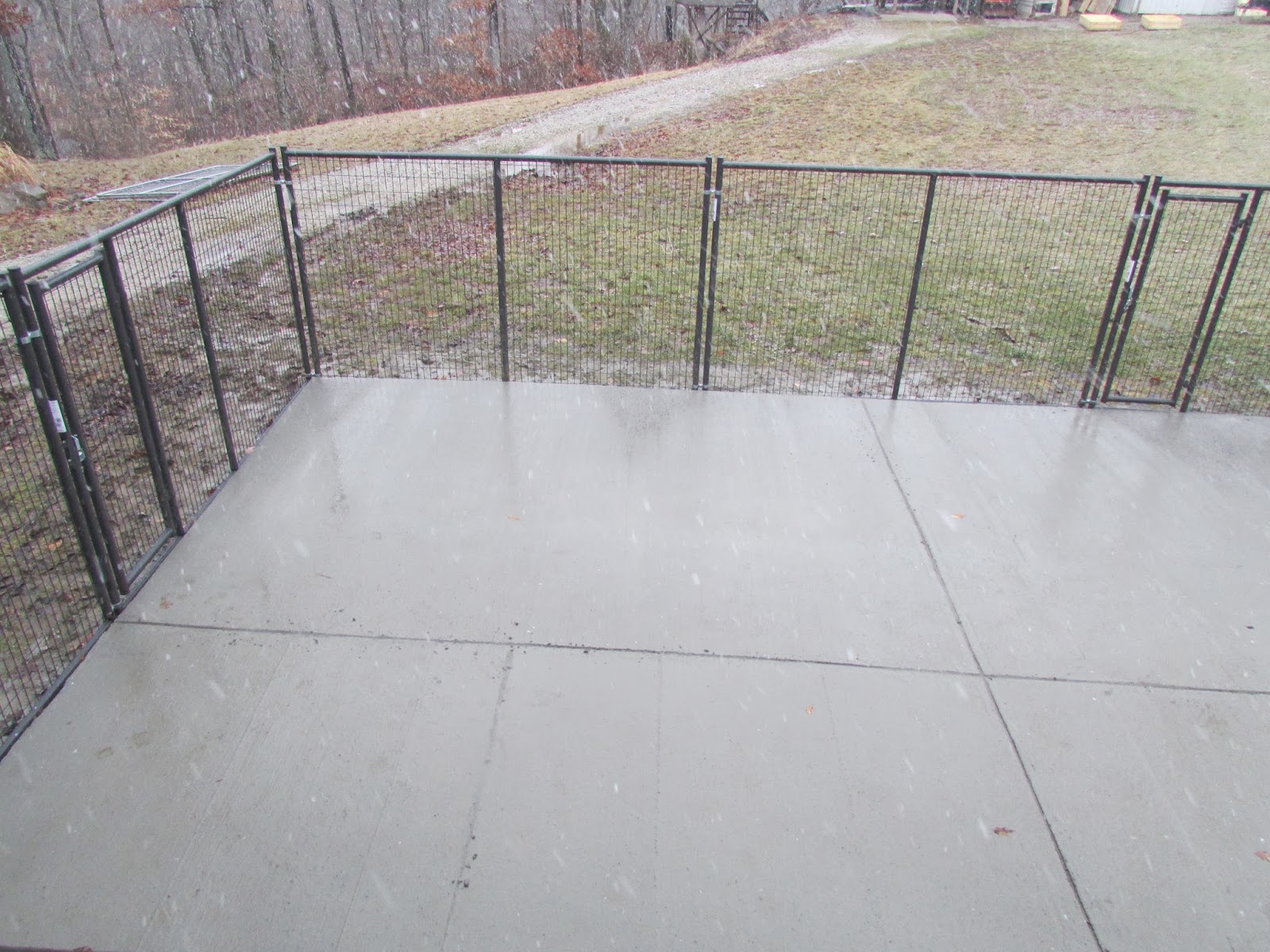 My Rotten Dogs Preventing Dig OutUsing Concrete as a Kennel Floor