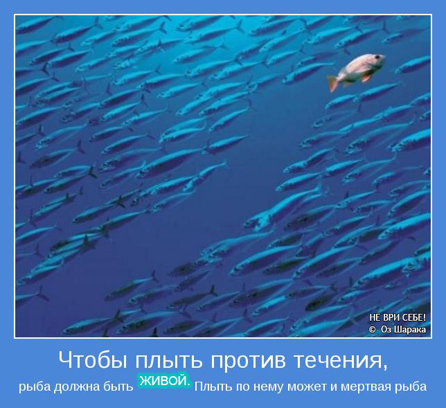 Добрые пожелания, пожелания добра Градиент на ногтях: виды, идеи и техника выполнения данного