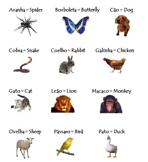 Animais em inglês: como dizer 109 nomes de A a Z