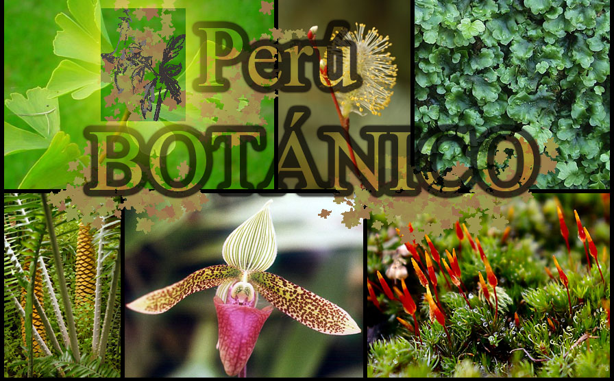 Perú Botánico