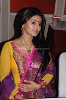 Sneha small hot cleavage pictures