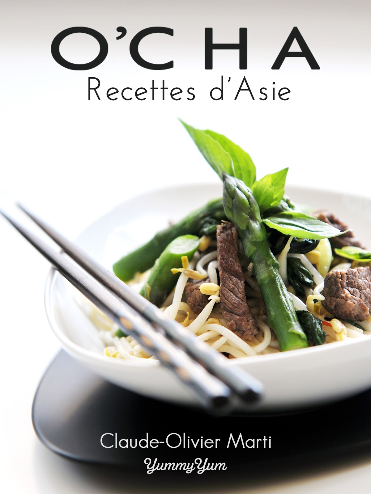 1001 Recettes: Et si j'écrivais un livre culinaire ? Je vous