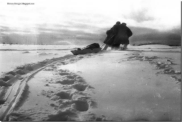  Red Army soldiers pull a wounded comrade to safety