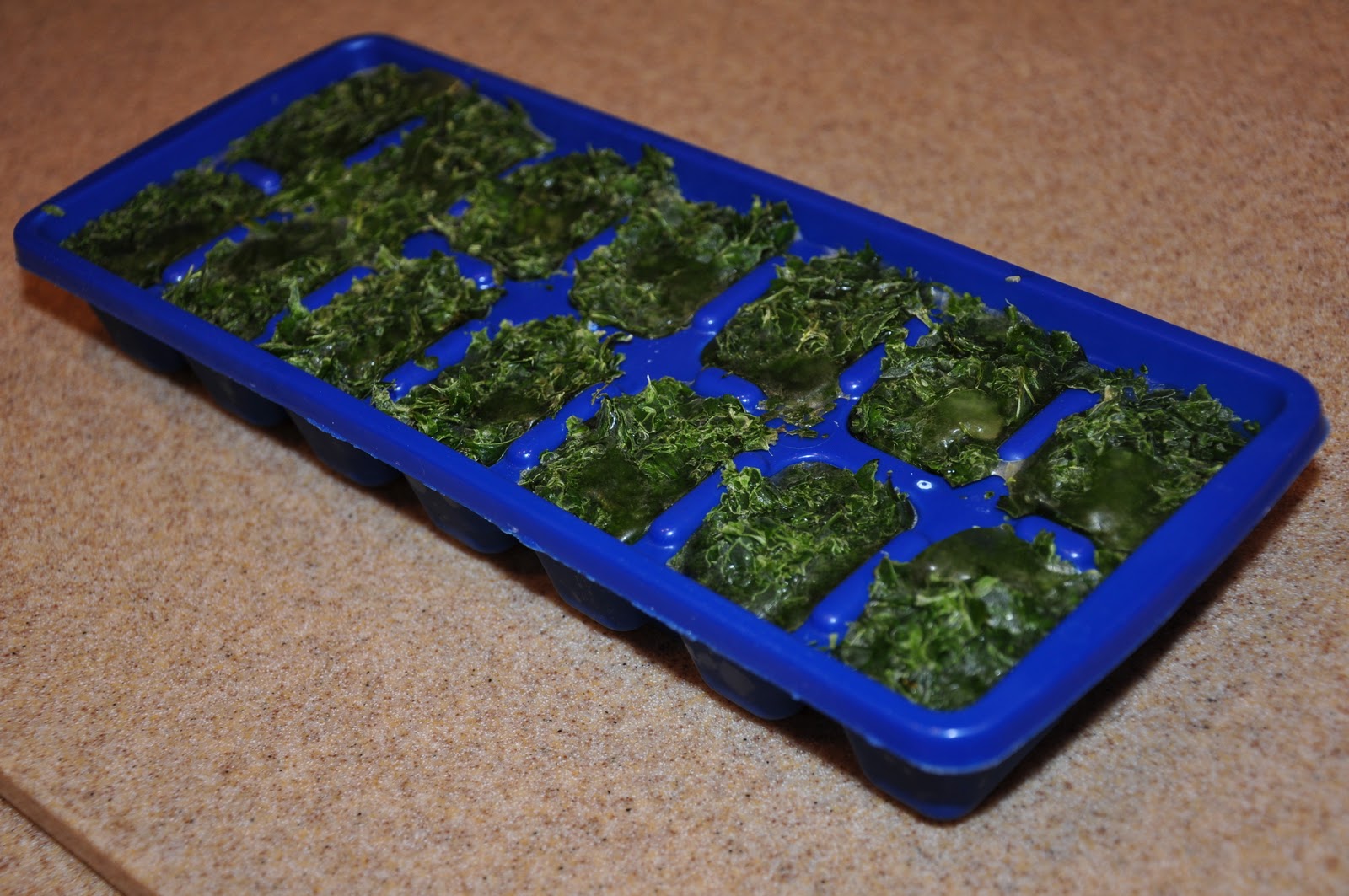 The Changeable Table Frozen Herb Cubes