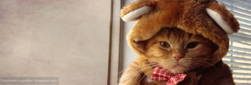 Grup Hepsi Sohbet 2016 Seslidunya Seslisayfam Asilbeyaz Sohbet Gozluk Takan Kedi Facebook Kapak Resmi