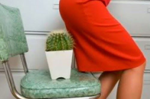 TRUNG TÂM NGHIÊN CỨU VÀ ỨNG DỤNG THUỐC DÂN TỘC