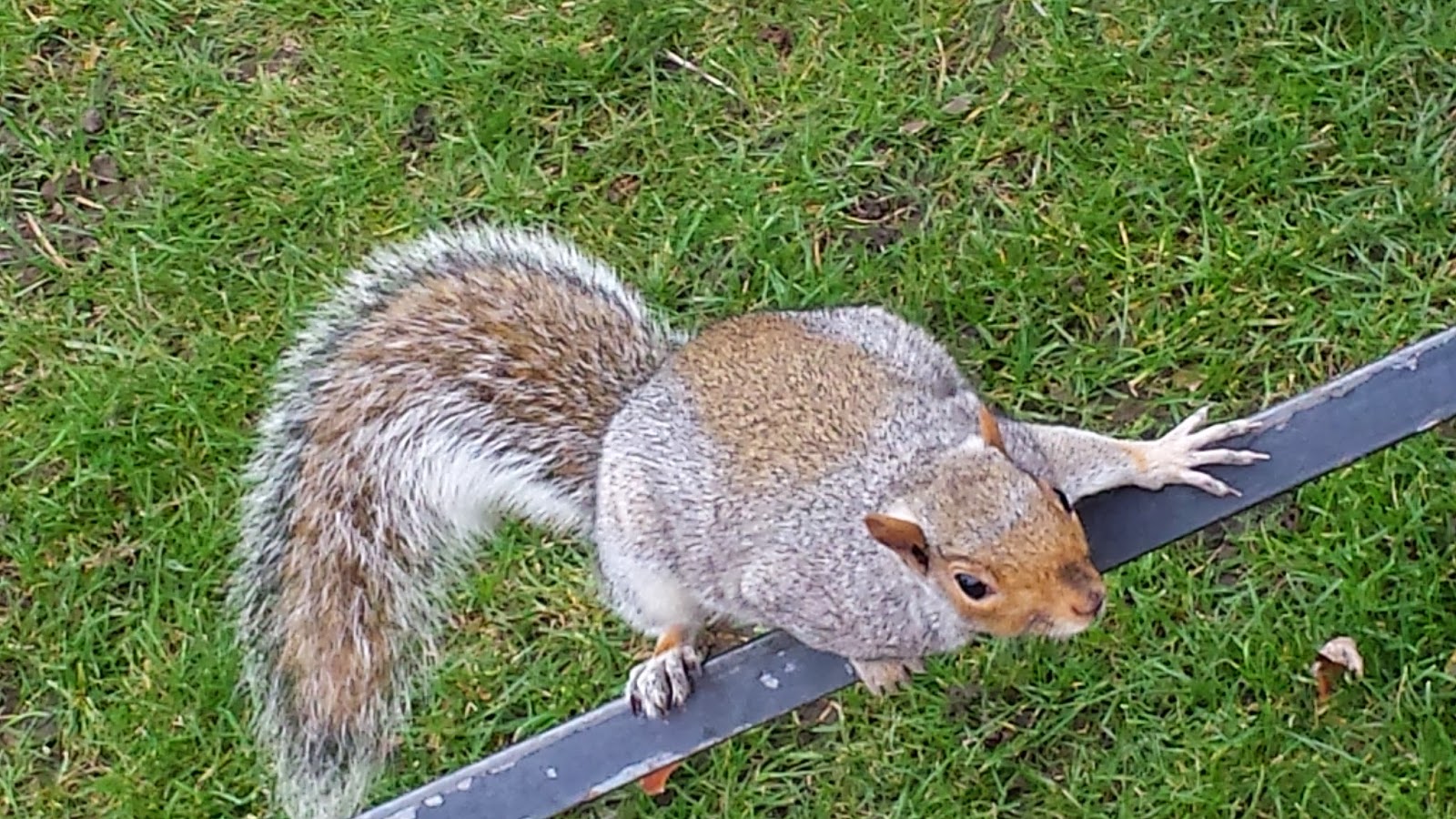 dove incontrare ragazze a londra