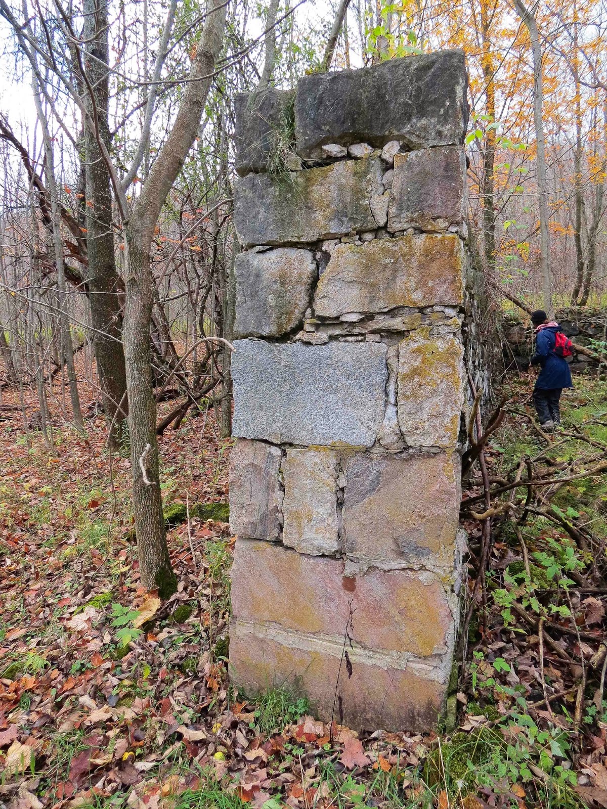 Seasons in the Valley + Furry Gnome's Adventures Geology Lesson at the