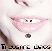 Thousand Wings Loja