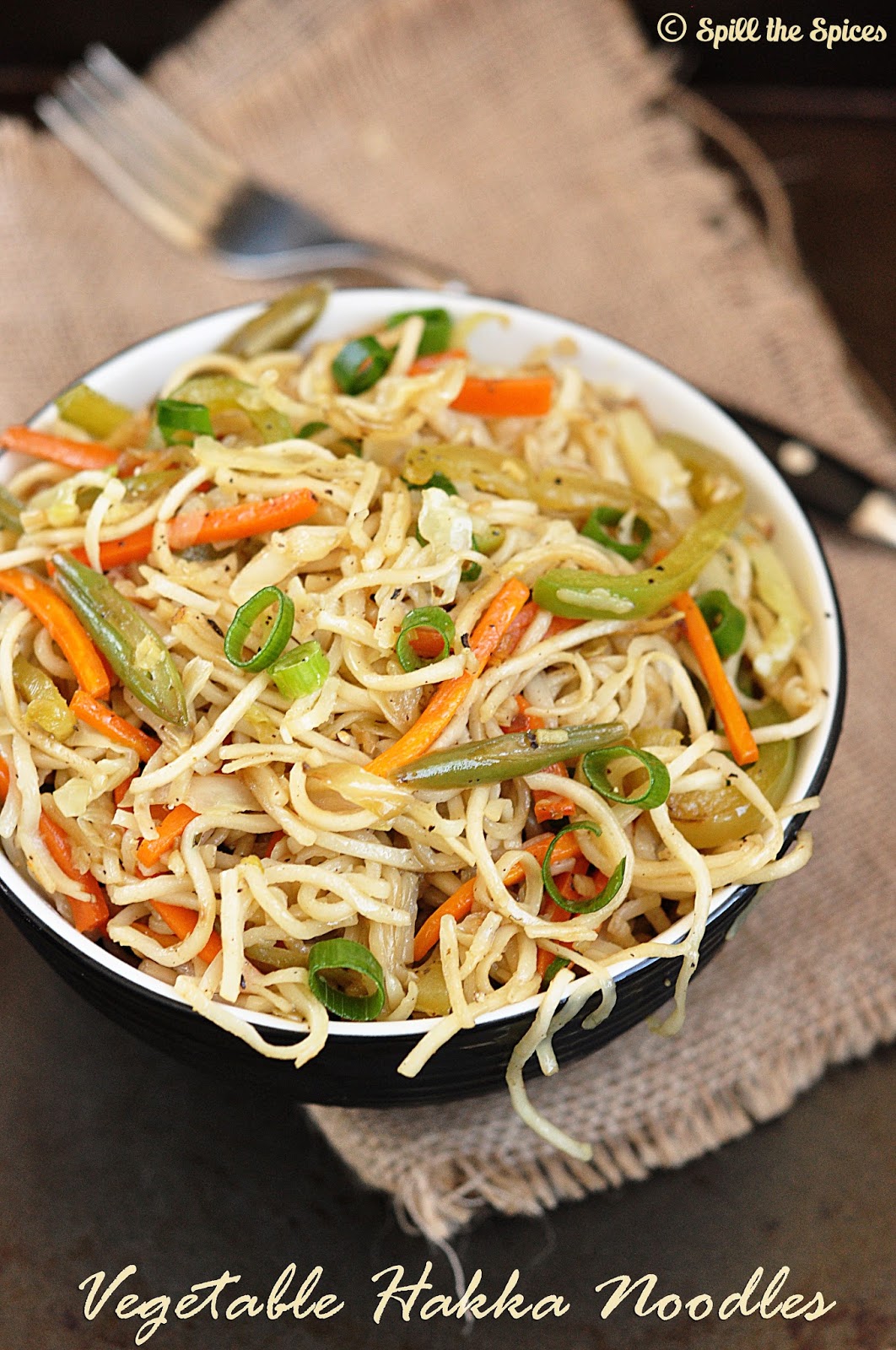 Vegetable Hakka Noodles Spill the Spices