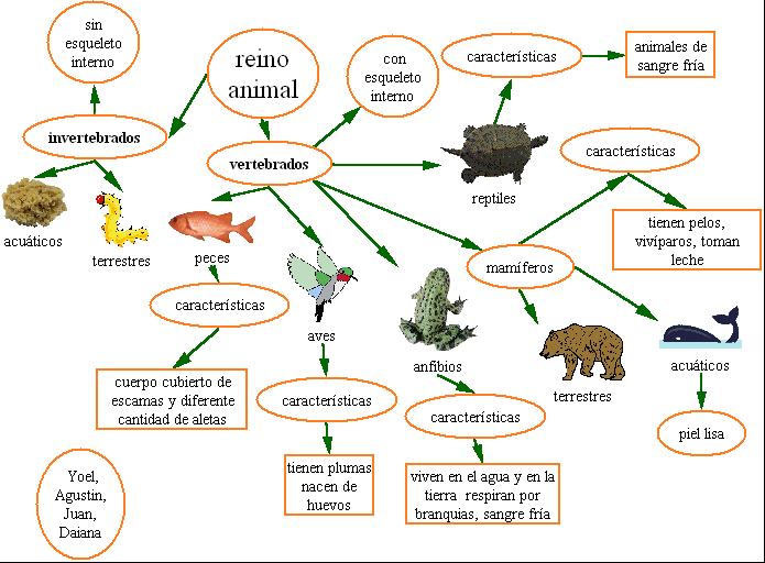 Reproduccion Animales Invertebrados Y Vertebrados