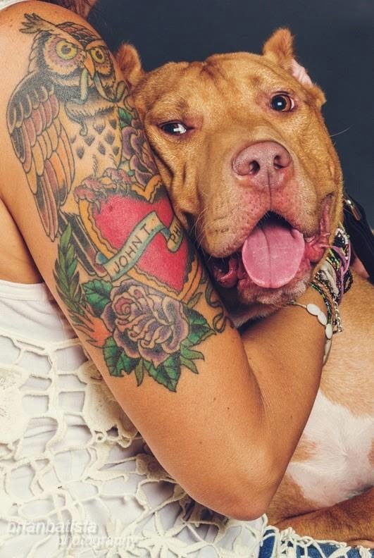 tatuajes y pit bull