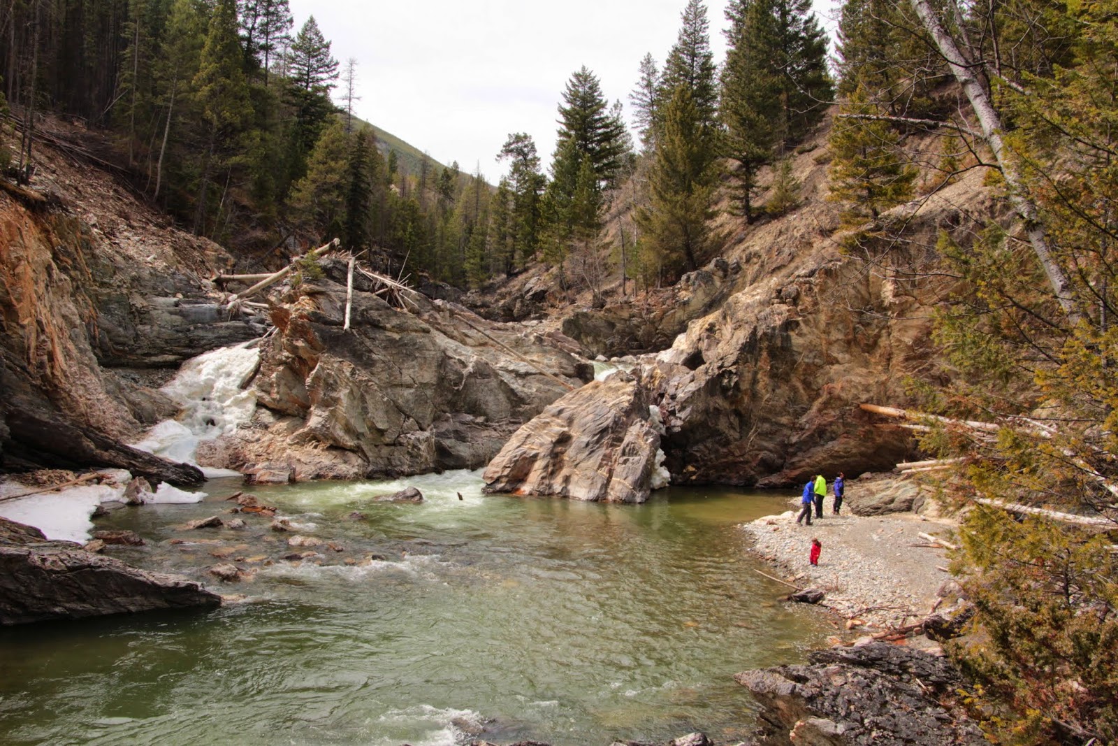 Family Adventures in the Canadian Rockies The Best of the Columbia