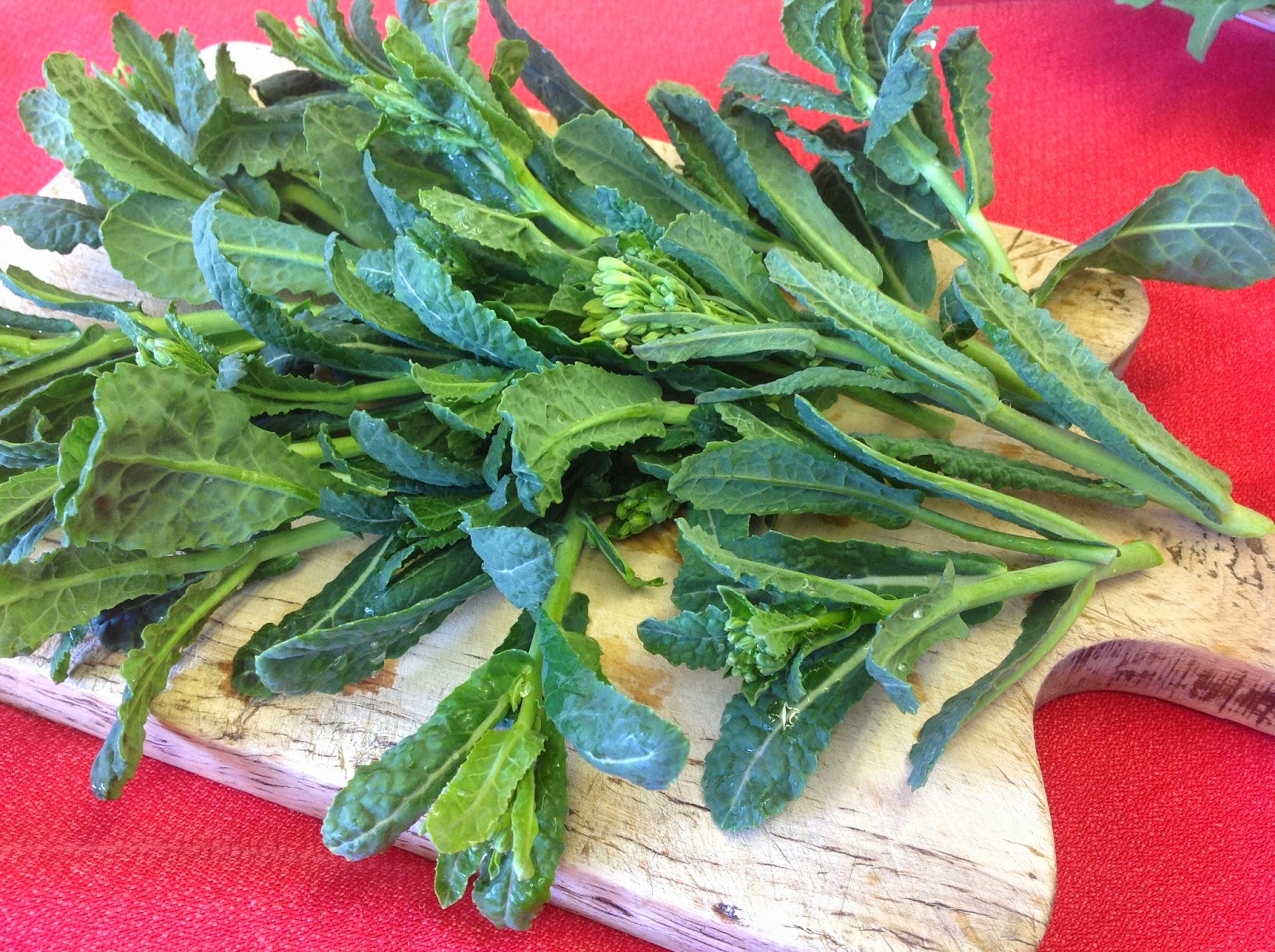 Chez Nous Farms Certified Organic in Niagara Discovering a new