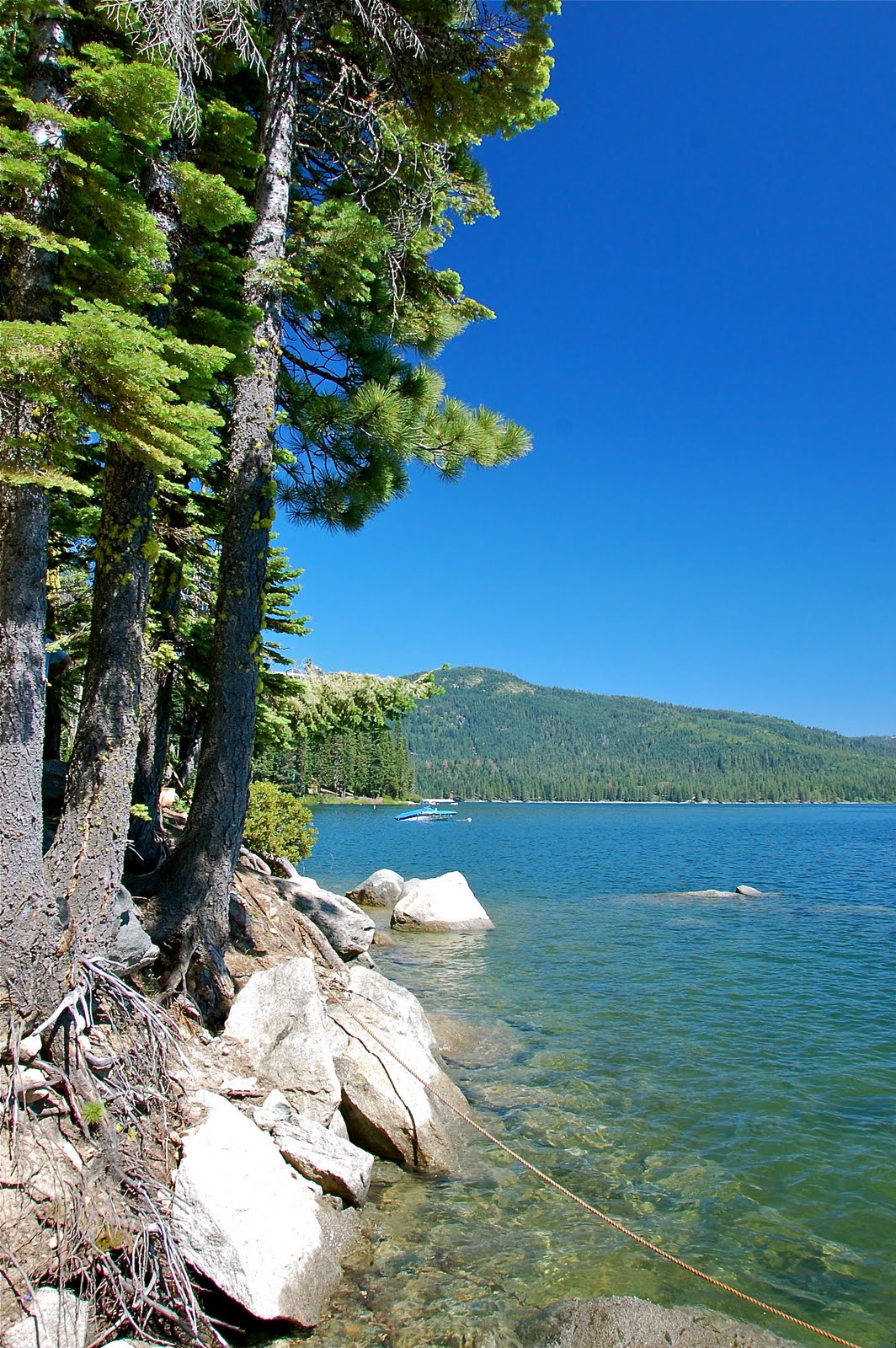 Travels with L (and sometimes Z & F) Bucks Lake, CA