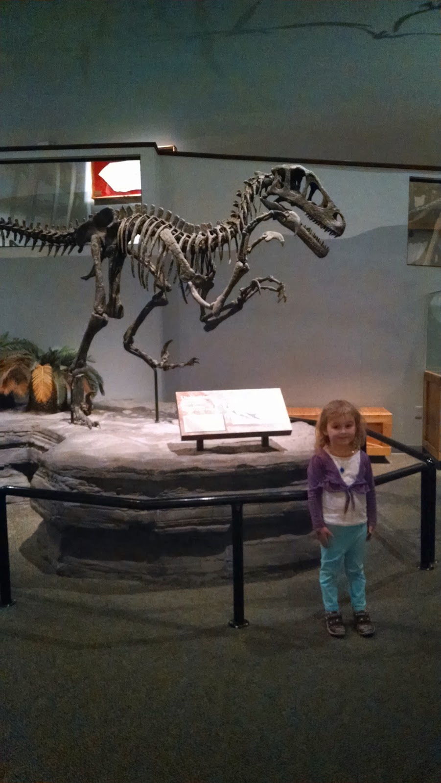 Hurst texas trash pickup thanksgiving Hurst texas trash pickup thanksgiving