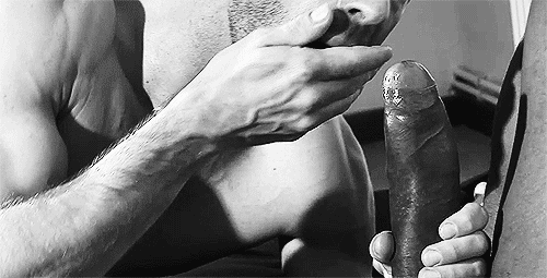 gay food cock jerry springer transsexuals