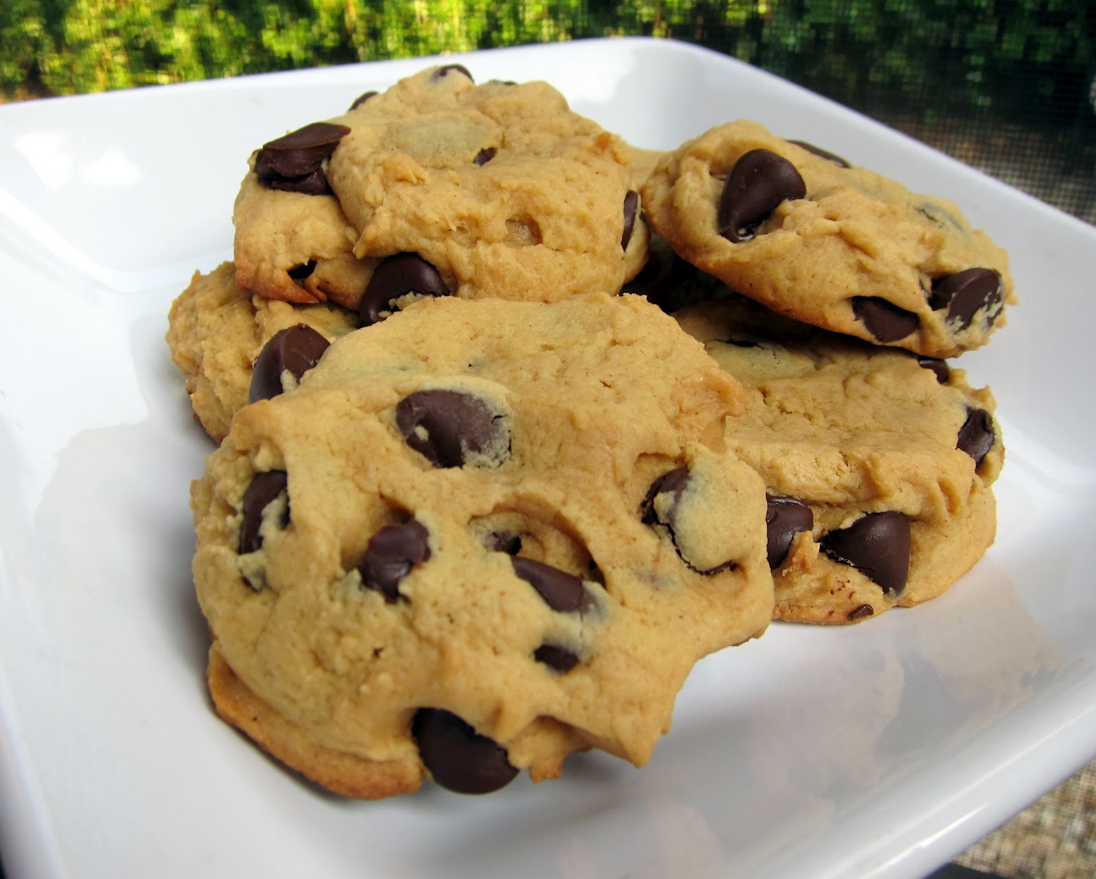 Peanut Butter Chocolate Chip Cake Mix Cookies Plain Chicken