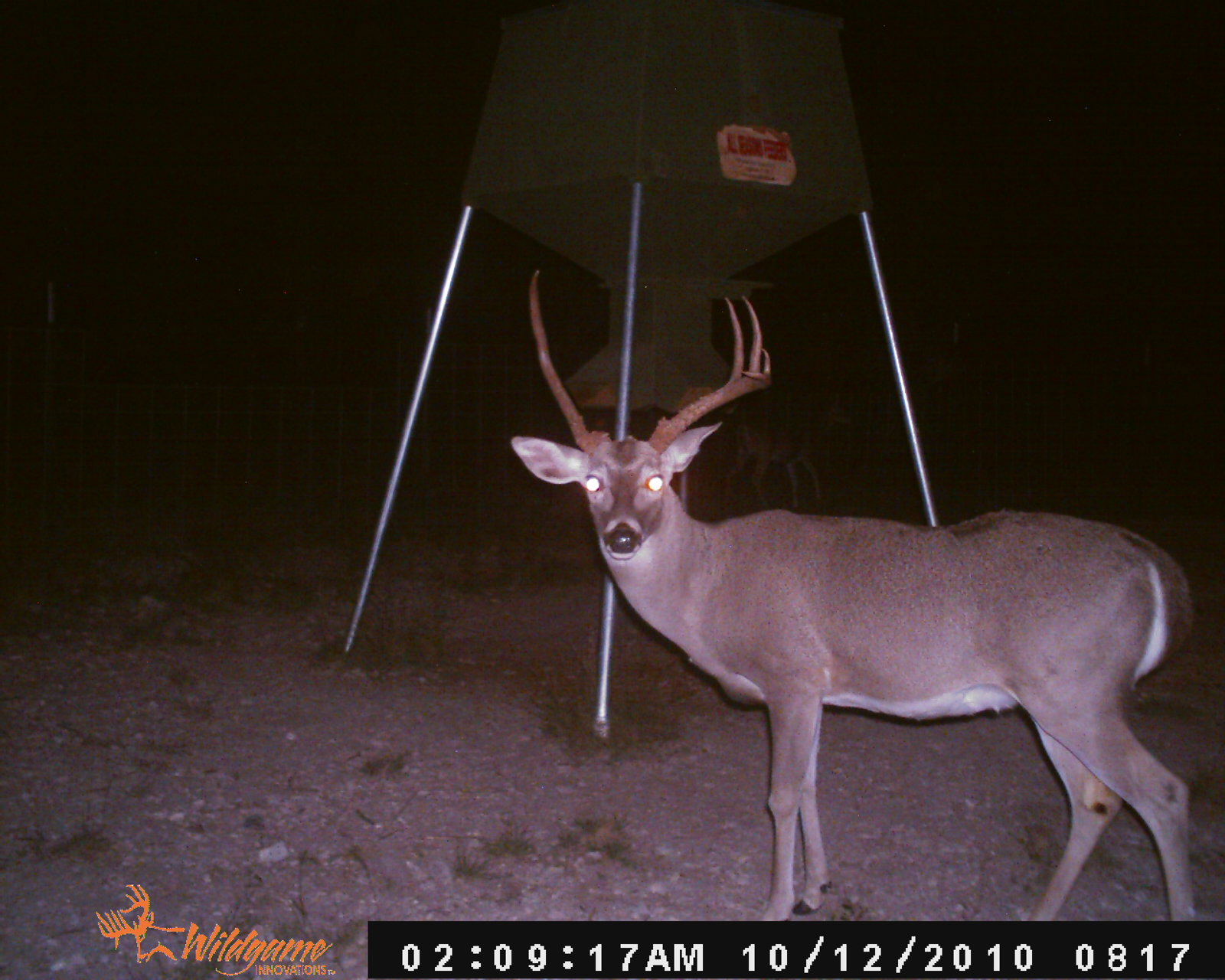 Unicorns Do Exist… The Hunting Game