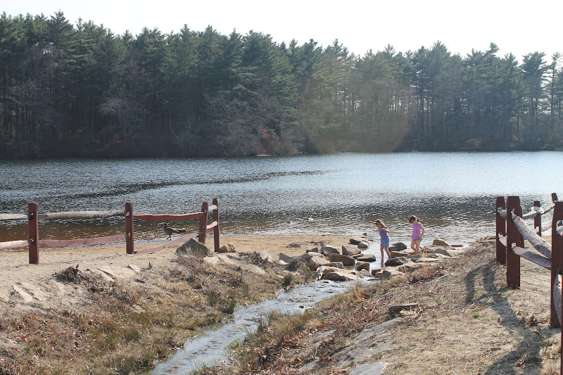 Playground Hopping Houghton's Pond Milton