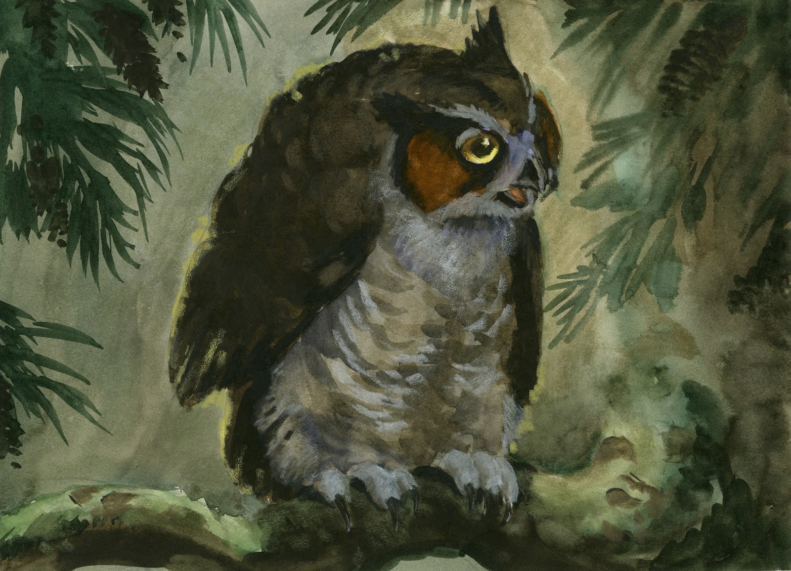 Deja View Disney Owls