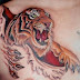 Tatuagens de Tigre