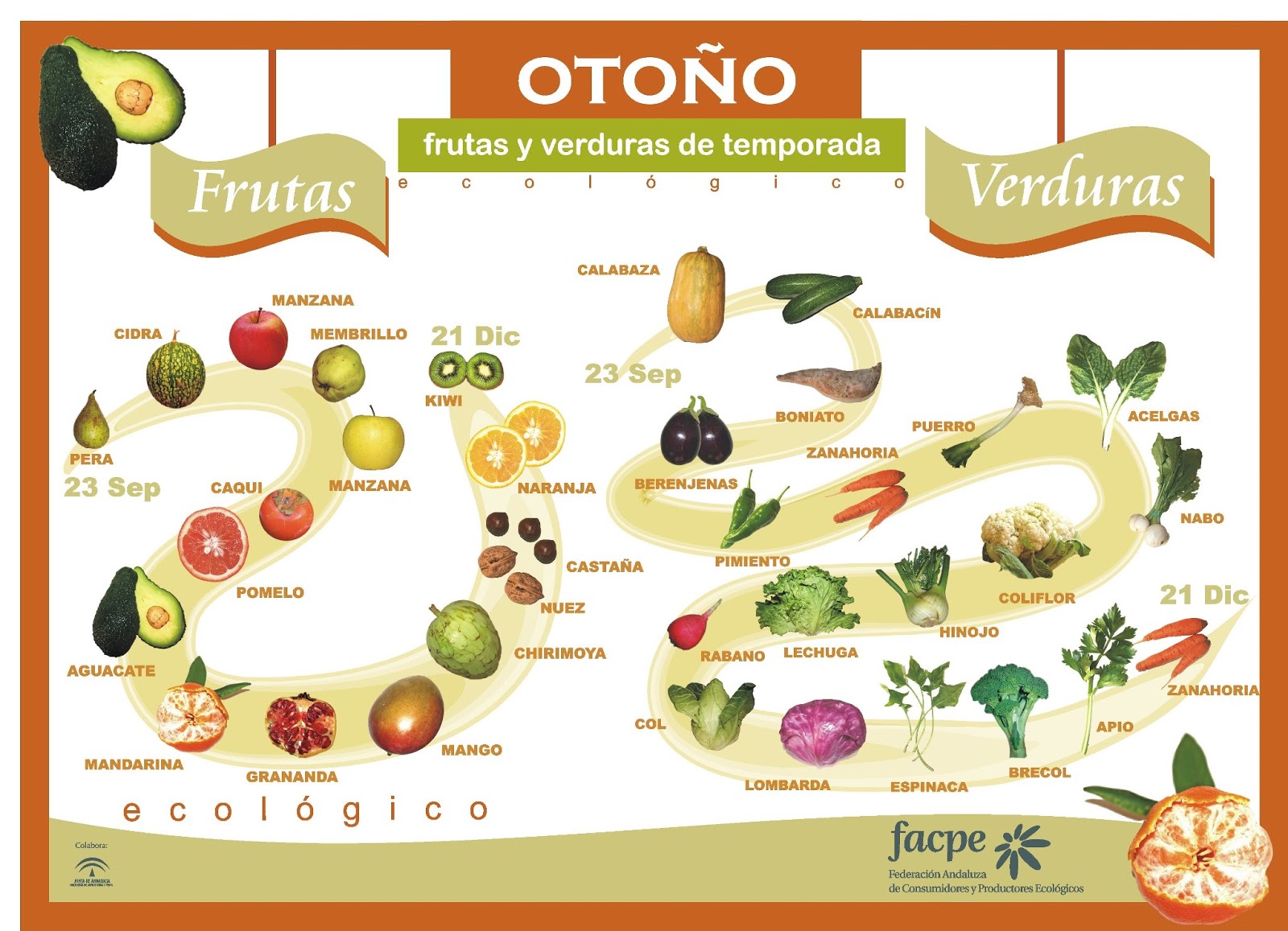 Frutas y verduras de temporada