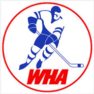 Lot Detail - 1972-73 Bobby Hull Winnipeg Jets WHA Inaugural Season