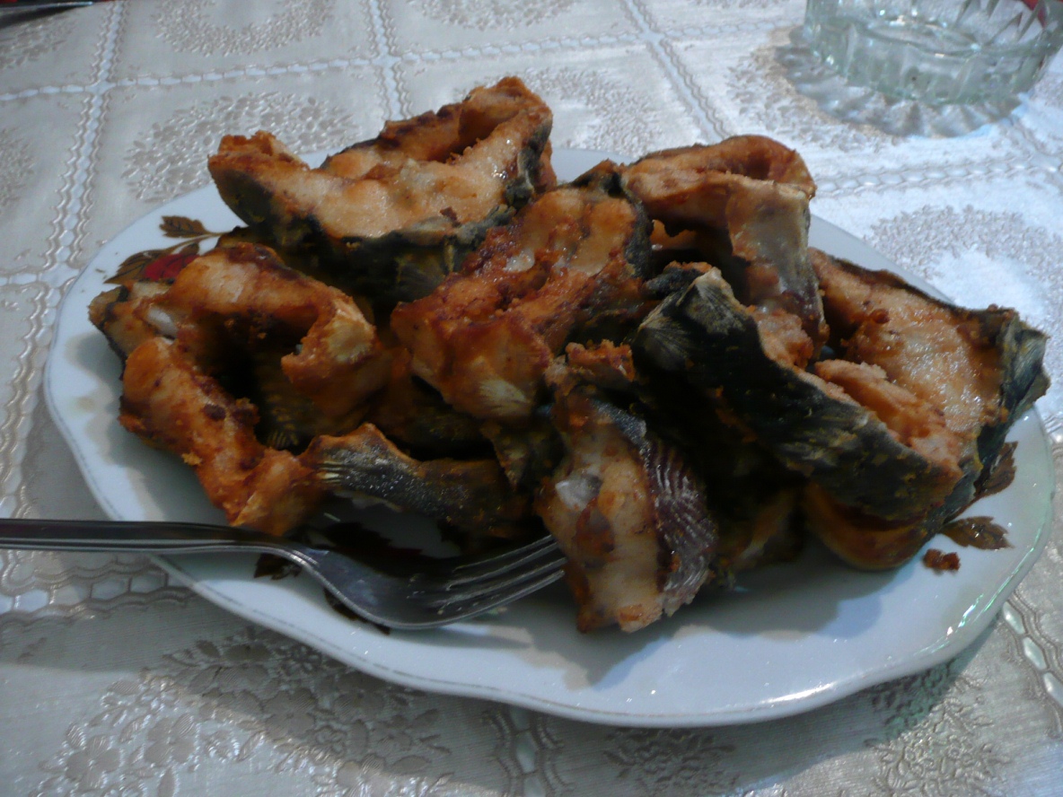 LÖPLÖPÇÜLER Karadeniz 2011 Batum