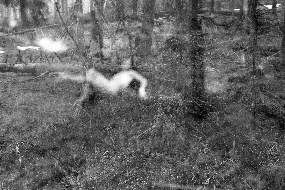 Fotografie z cyklu: Ona bouřka On strom