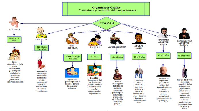 Fotos De Las Etapas Del Desarrollo Humano Fotos De Las Etapas Del Desarrollo Humano