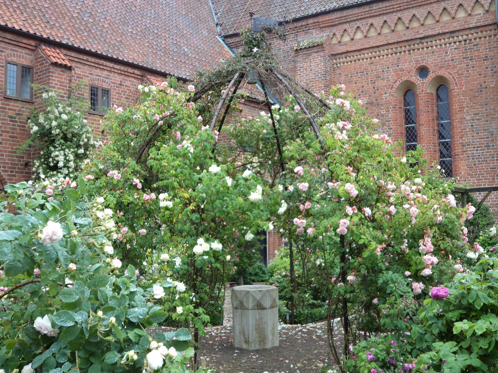 Rosenälvorna: en rosenälskares paradis