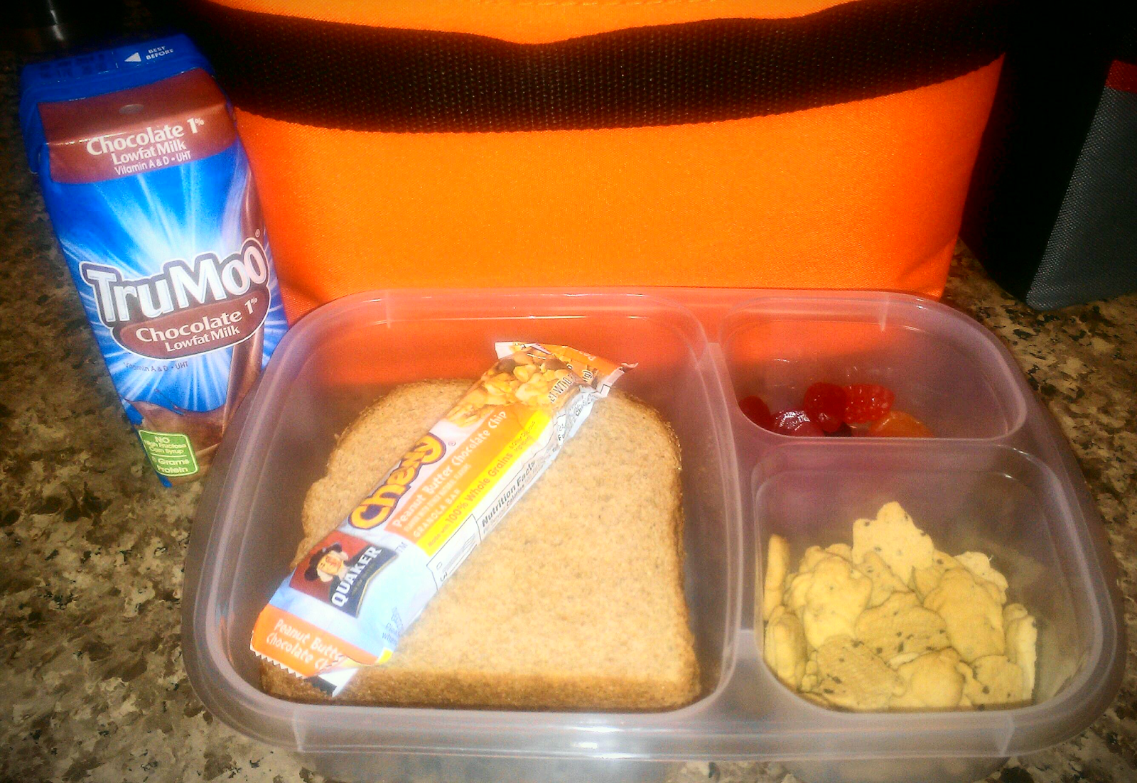 Being Frugal and Making It Work Back to School "Lunch Box 101" Tips & Tricks with TruMoo Milk