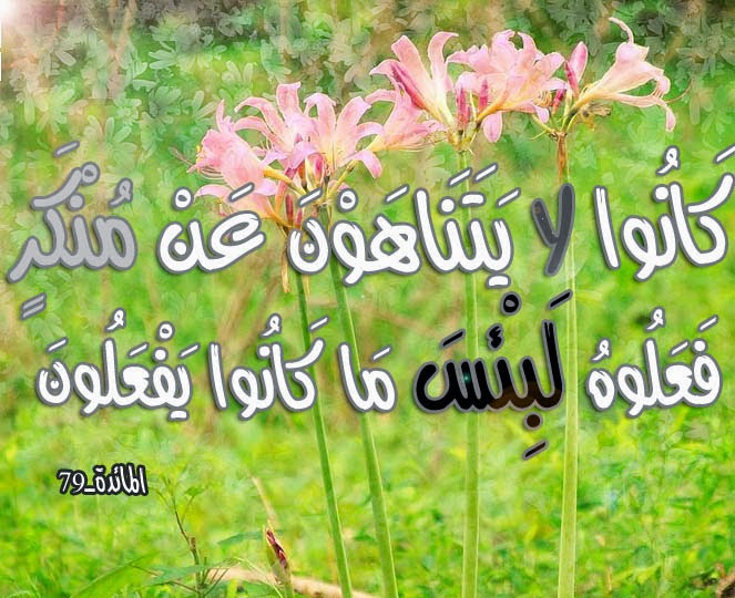 آية وتفسير 4 كانوا لا يتناهون عن منكر فعلوه
