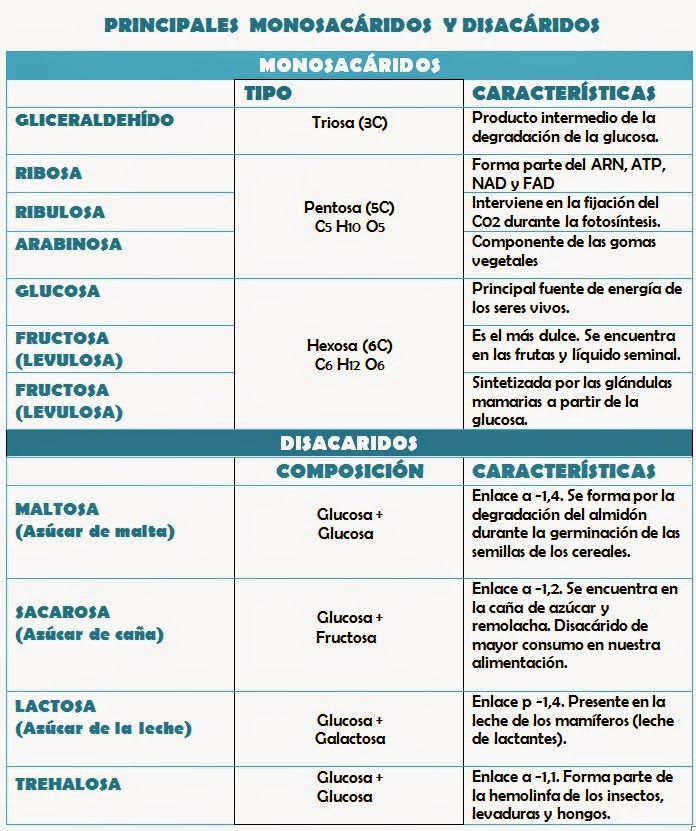 S ntomas de la diabetes en la fase inicial