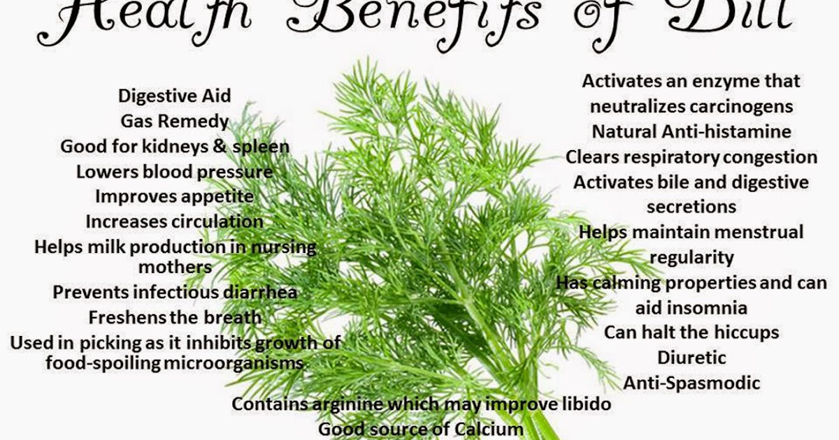 Rishi Ayurveda Hospital and Research Centre Health Benefits Of Dill