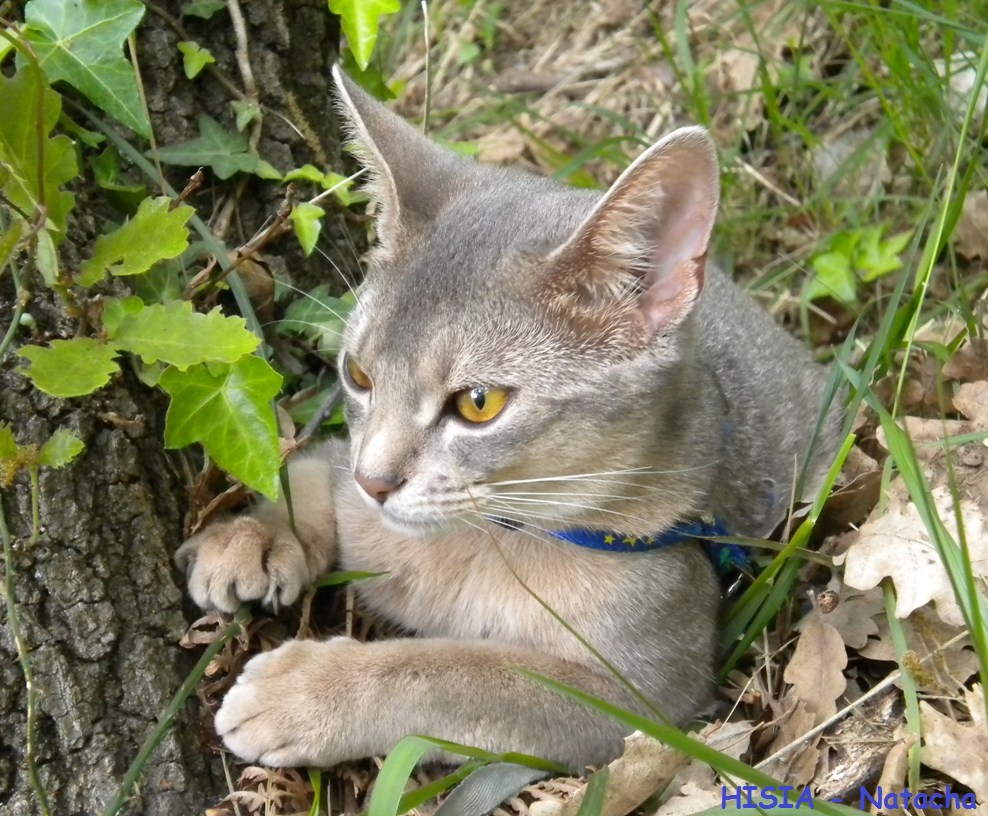 il est des rencontres magiques