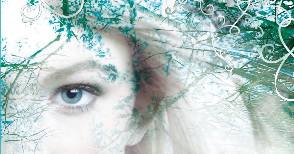 Book Review The Iron King by Julie Kagawa BamBook Reviews