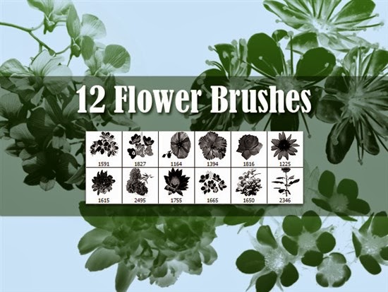 Photoshop Flowers Brushes Photoshop Flowers Brushes